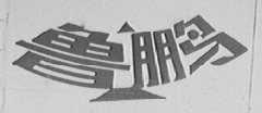 鲁鹏