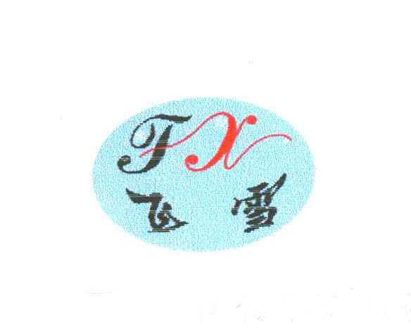 飞雪;FX