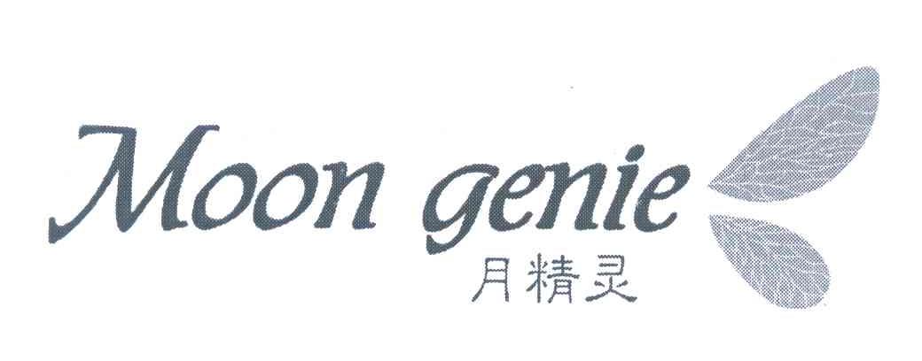 月精灵 MOON GENIE