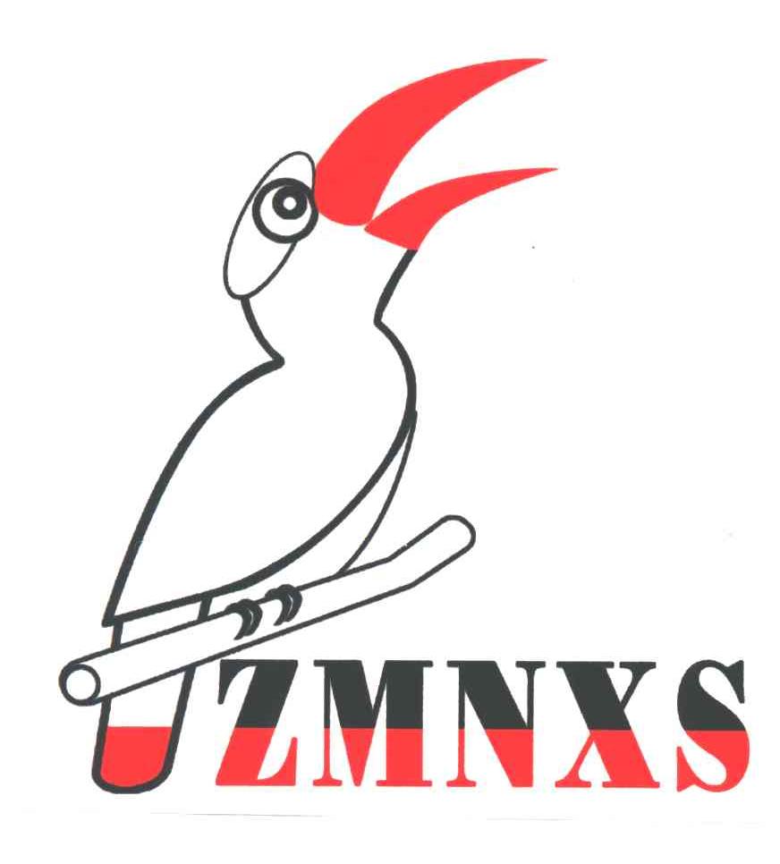 ZMNXS