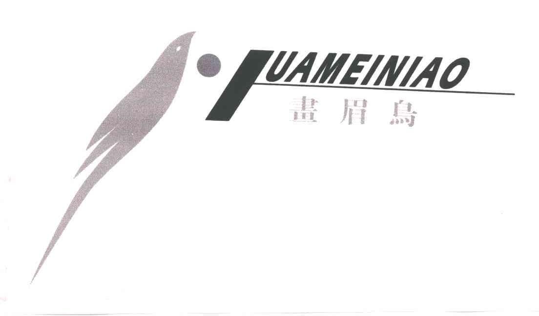 画眉鸟