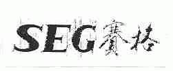 SEG 赛格