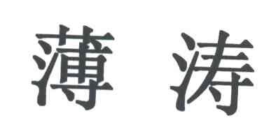 薄涛