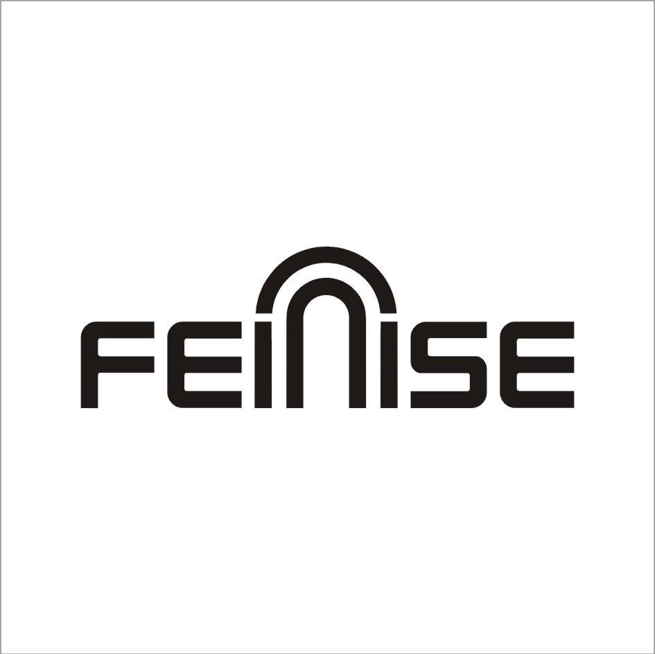 FEINISE