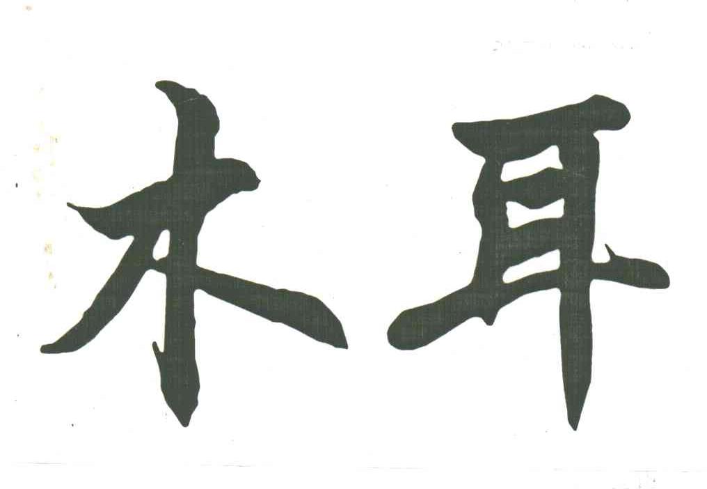 木耳