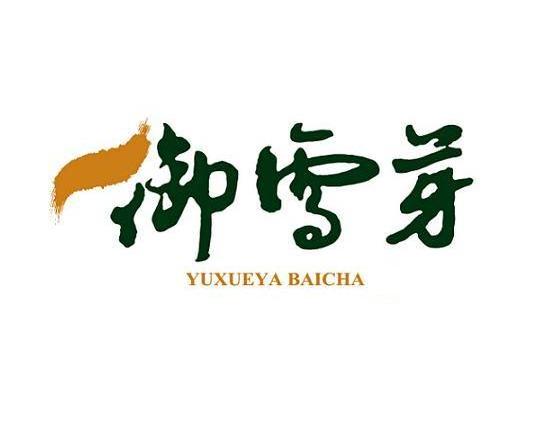 御雪芽 YUXUEYA BAICHA