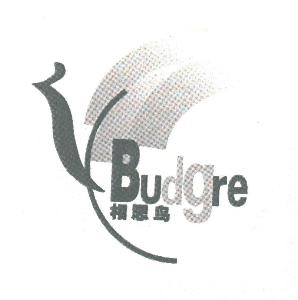 相思鸟;BUDGRE