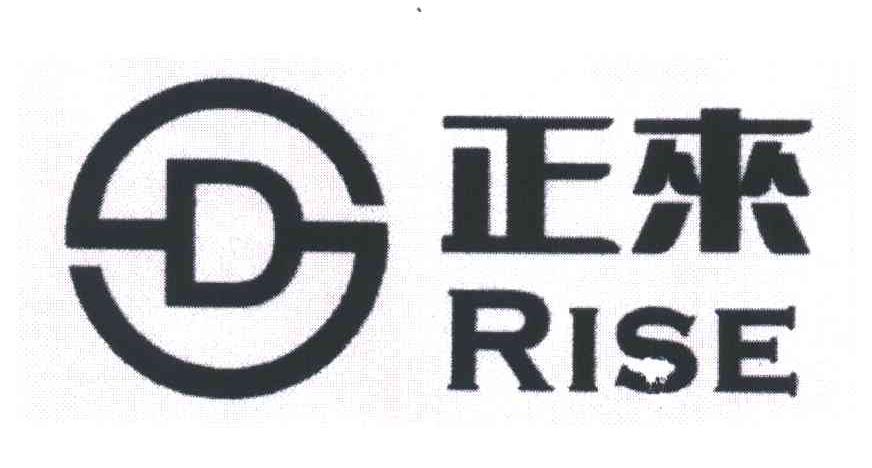 正来RISE DS