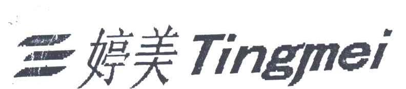 婷美