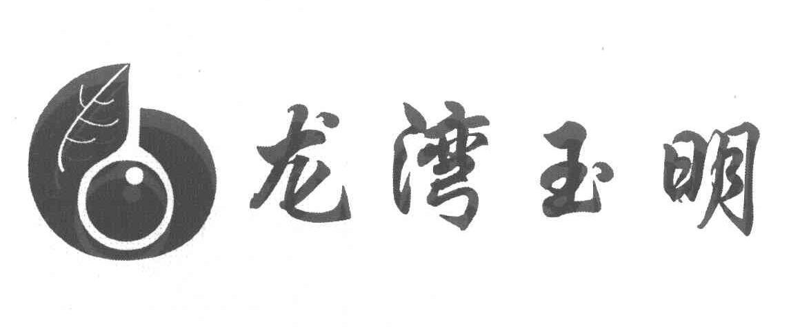 龙湾玉明