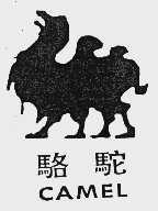 骆驼  CAMEL