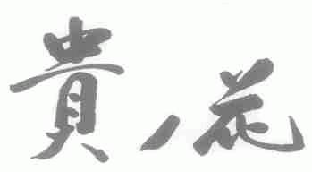 贵花