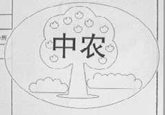 中农