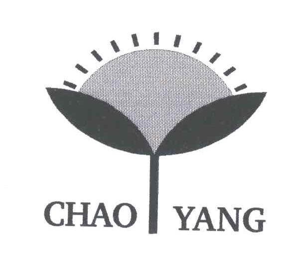 CHAO YANG