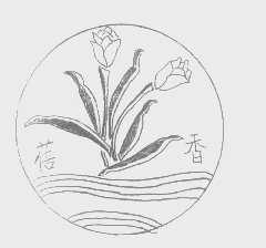 蓓香