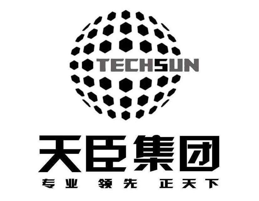 天臣集团 专业领先正天下 TECHSUN