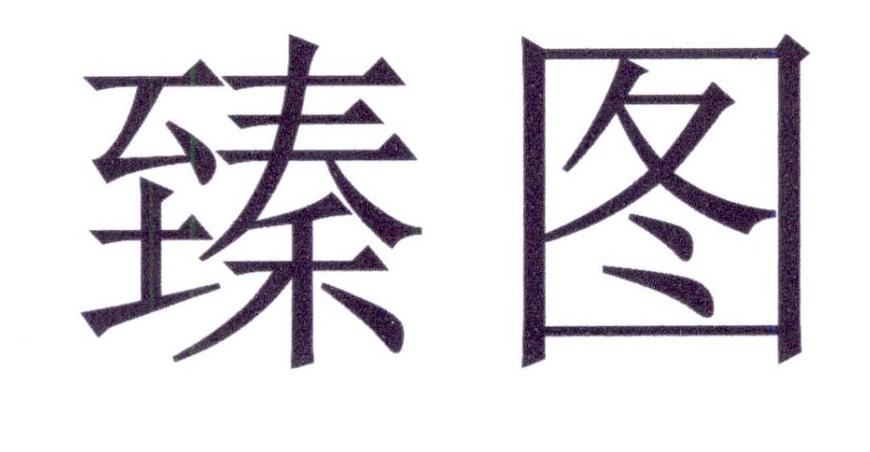 臻图