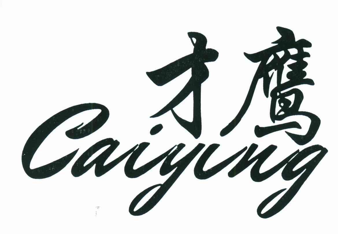 才鹰