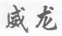 威龙