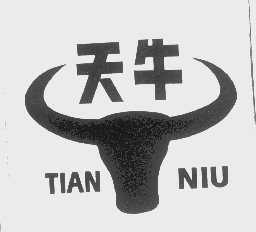 天牛