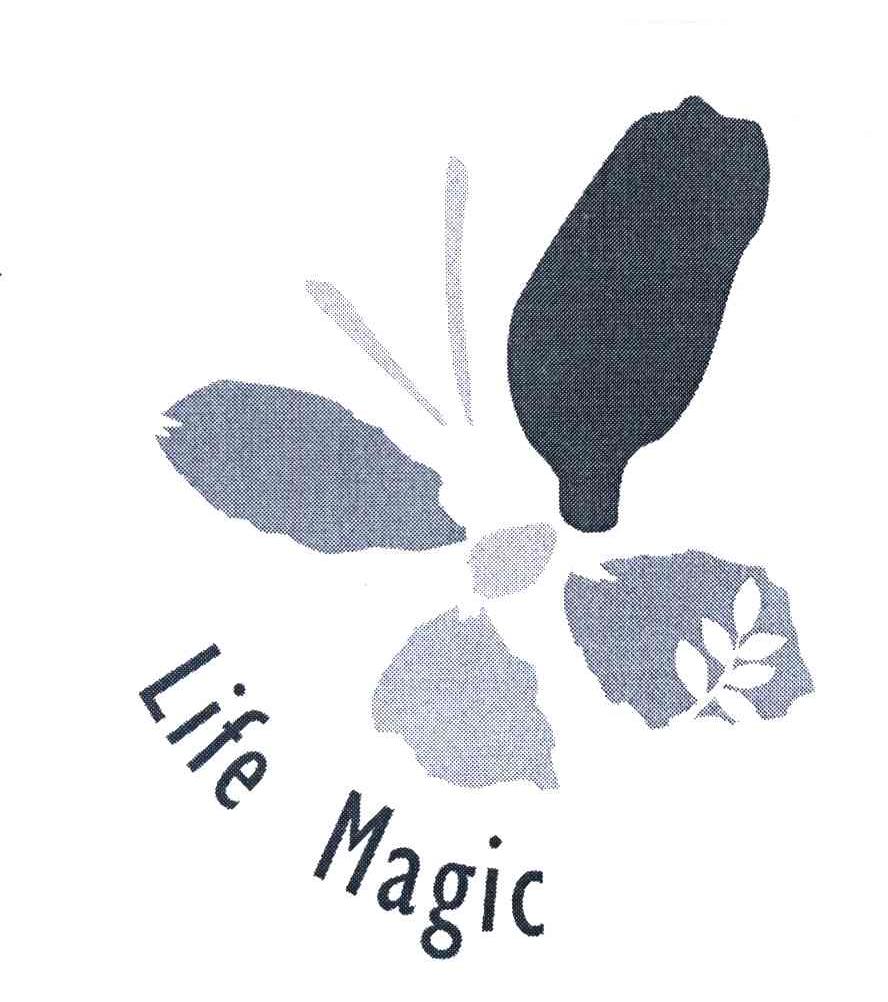 LIFE MAGIC