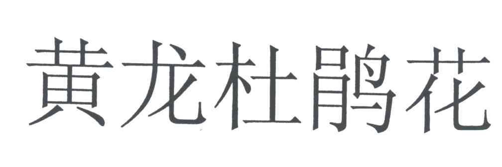 黄龙杜鹃花