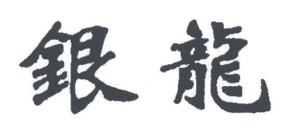 银龙