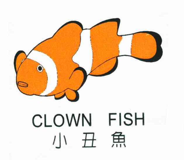 小丑鱼;CLOWN FISH