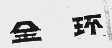 金环
