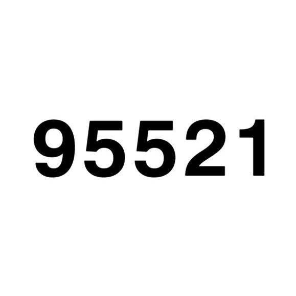 95521