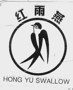 红雨燕   HONG YU SWALLOW