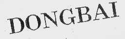 DONGBAI