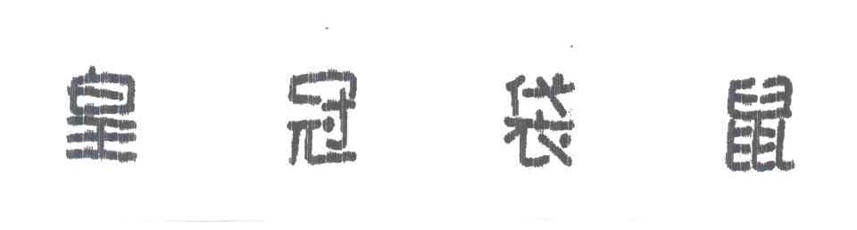 皇冠袋鼠