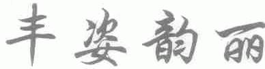 丰姿韵丽