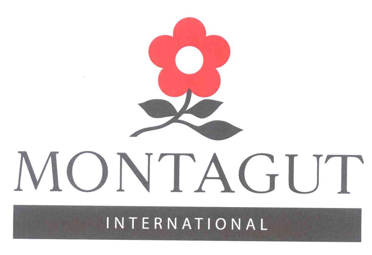 MONTAGUT INTERNATIONAL