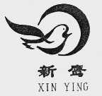 新鹰
