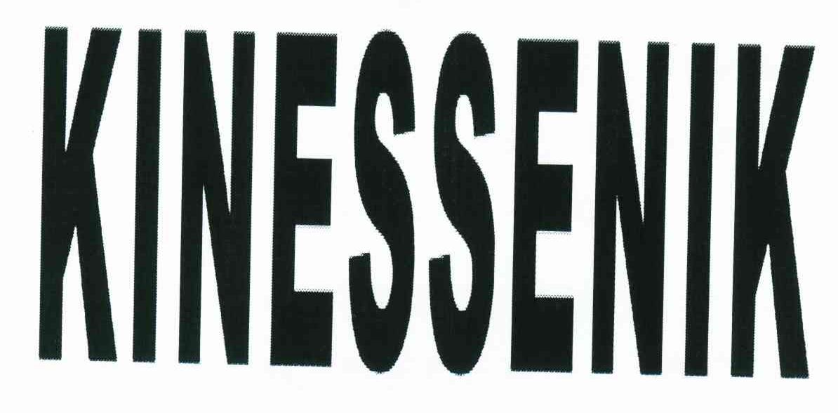 KINESSENIK
