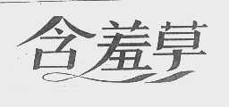 含羞草