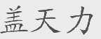 盖天力