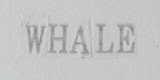 WHALE