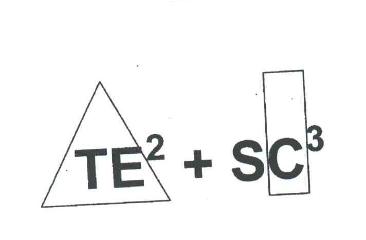 TE SC