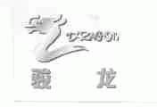 骏龙;DRAGON