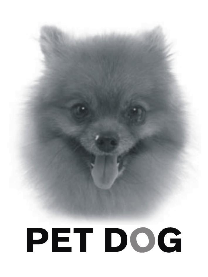 PET DOG