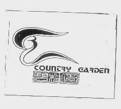 碧桂园   COUNTRY GARDEN