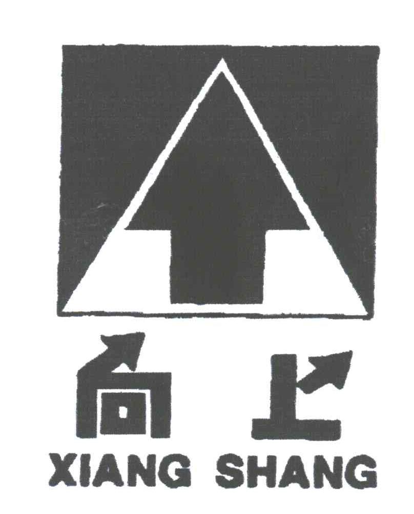 向上及图