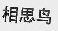 相思鸟