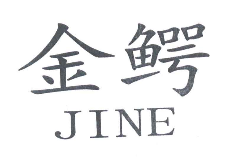 金鳄