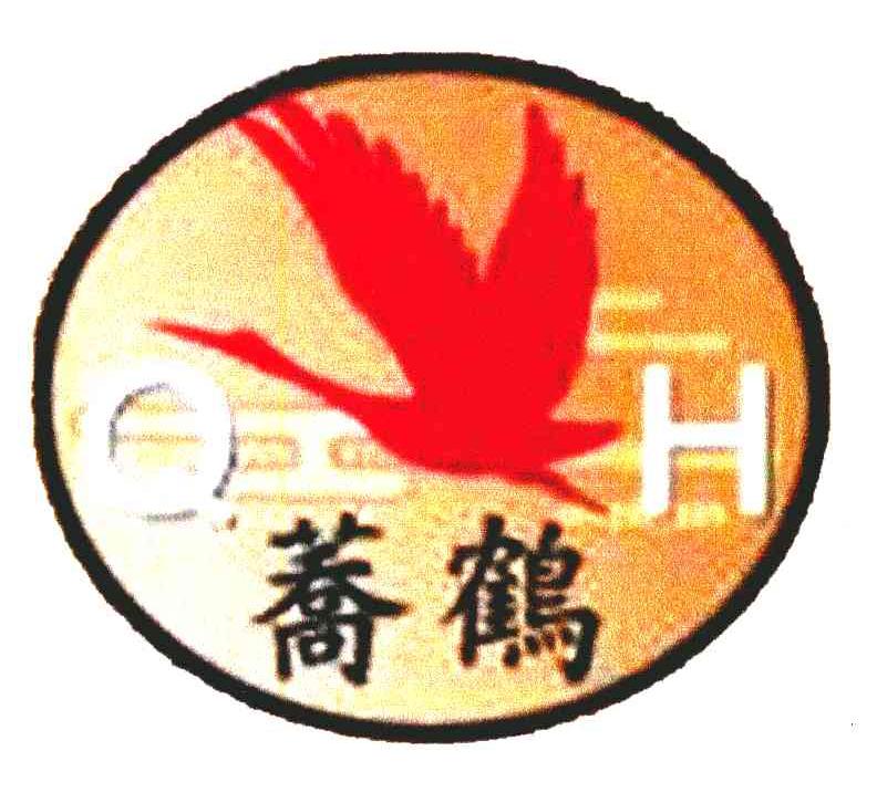荞鹤 QH